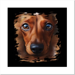 Dachshund Face Dachshund Dog Lover Posters and Art